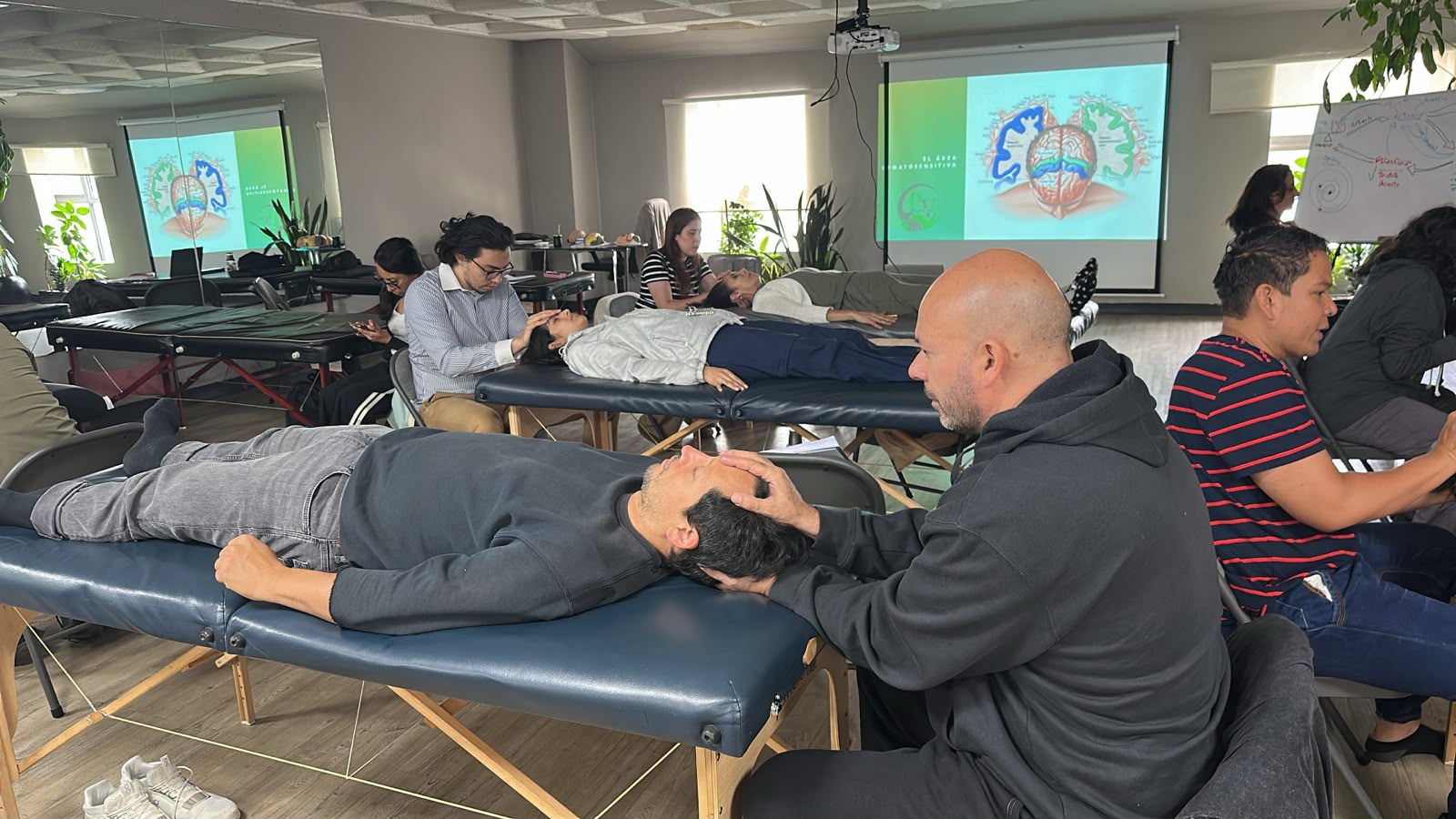 Prácticas en camilla durante el curso PVMT1 de terapia manual polivagal